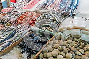 Fish and seafood at the Mercado Central in Santiago