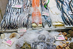 Fish and seafood at the Mercado Central in Santiago