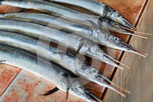 Fish, Seafood. Needlefish ( Houndfish, Tylosurus Crocodilus ) At