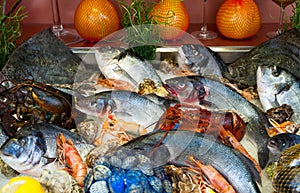 Fish and seafood restaurant