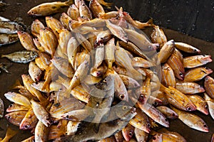 Fish and seafood at seamarket in Sri Lanka photo