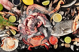 Fish and seafood variety, a flatlay overhead shot on a dark background. Fresh sea bream. shrimps, crab, sardines, squid