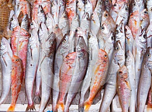 Fish at seamarket