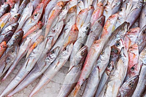 Fish at seamarket photo