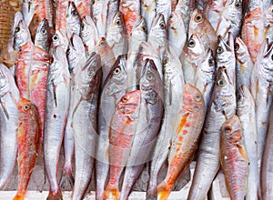 Fish at seamarket