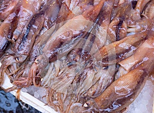 Fish at seamarket