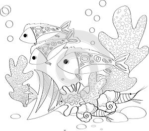 Fish, seashells, seaweed and corals drawn in line art style on white background.