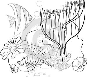 Fish, seashells, seaweed and corals drawn in line art style on white background.