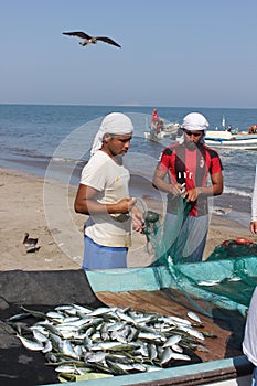 Fish seller in Barka, Oman