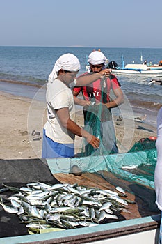 Fish seller in Barka, Oman