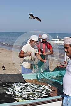 Fish seller in Barka, Oman