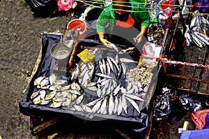 Fish seller in market, Java, Indonesia