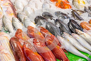 Fish selling in market