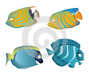 Fish set