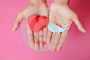 Fish-shaped paper, empty on hand, isolated from pink background