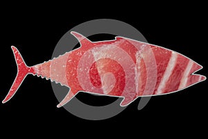 Fish-shaped tuna fillett isolated on black background. Yellow fin tuna steak background. Fresh rare tuna steak close up. Raw