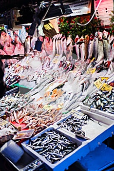 Fish and shellfish street shop in Kadikoy area, Istanbul photo