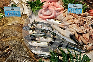 Fish shop in the city of Honfleur