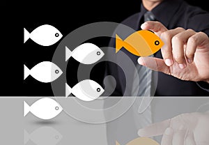 Fish showing leader individuality success photo