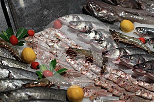Fish and shrimps on the ice