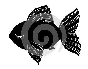 Fish silhouette