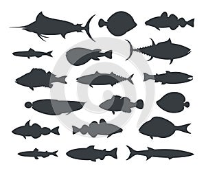 Fish silhouette. Isolated fish on white background