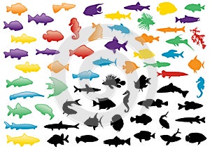 Fish silhouettes illustration set.