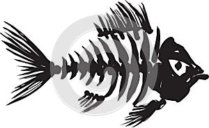 Fish skeleton