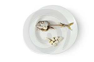 Fish skeleton and modicum foods on plate