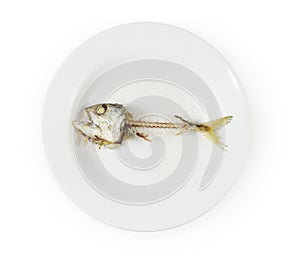 Fish skeleton on plate