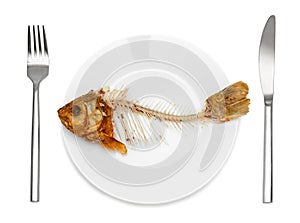 Fish skeleton on the plate