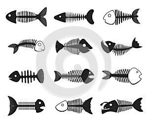 Fish skeleton set