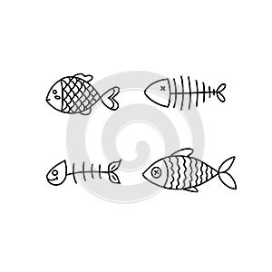 fish skeleton set