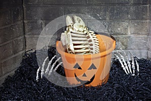 Fish skeleton, skeleton hands and Halloween jack o lantern bucket