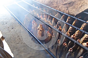 Fish smoked on hooks in smokehouse