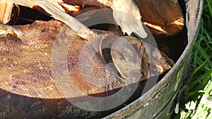 Fish Smoking Process For Home Use. Hot Smoked fhish. Close Up Smoking Process Fish In Smoking Shed For Home Use on the photo