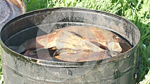 Fish Smoking Process For Home Use. Hot Smoked fhish. Close Up Smoking Process Fish In Smoking Shed For Home Use on the photo