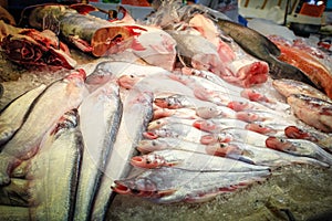 fish sold in markets