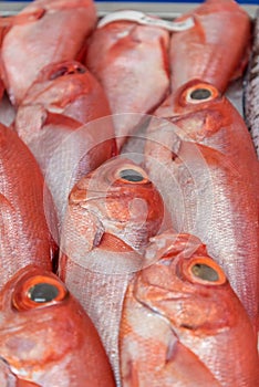Fish sold at Mercado da Graca in Ponta Delgada on the island of Sao Miguel, Portugal