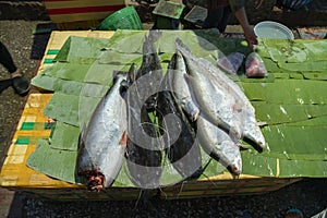 Fish sold in morning market in Luang Prabang, Laos.