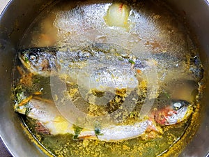 Fish soup. Trout boiled with spices and herbs in the pan. Gourmet fish food cooking process.