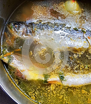 Fish soup. Trout boiled with spices and herbs in the pan. Gourmet fish food cooking process.