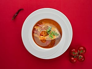 Fish soup in white plate with fresh tomatoes and chilli pepper on red background
