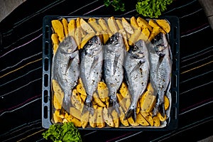 Fish Sparus aurata for baking with potatoes and greens
