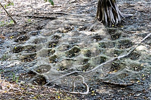 Fish spawning beds visible in the dry lake bed