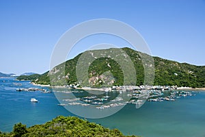 Fish spawning grounds in Hong Kong