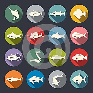 Fish species icons photo