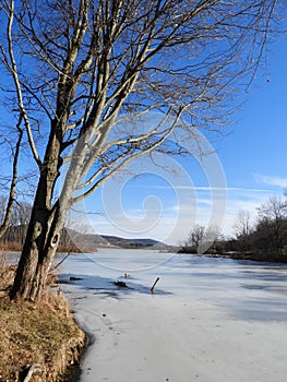 Dryden Lake in Tompkins County winter ice covered lake