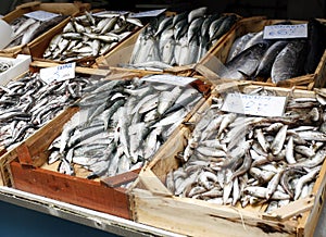 Fish stall