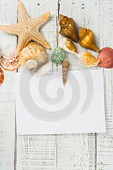 Fish star and sea shells on the wooden background